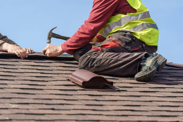 Best Roof Repair Services  in Jamestown, ND