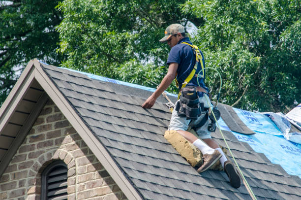 Best Shingle Roofing Installation  in Jamestown, ND