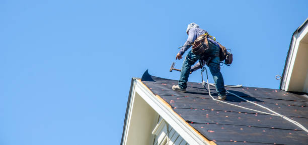 Best New Roof Installation  in Jamestown, ND